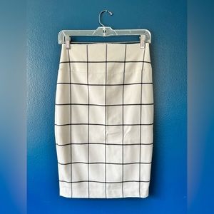 Express Pencil Skirt
